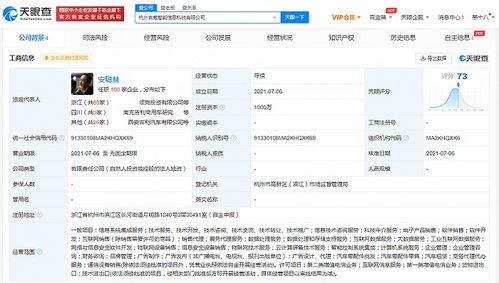 吉利成立吉氪新公司 聚焦网络安全，与极氪形成战略互补